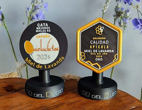 trofeo oro del duero